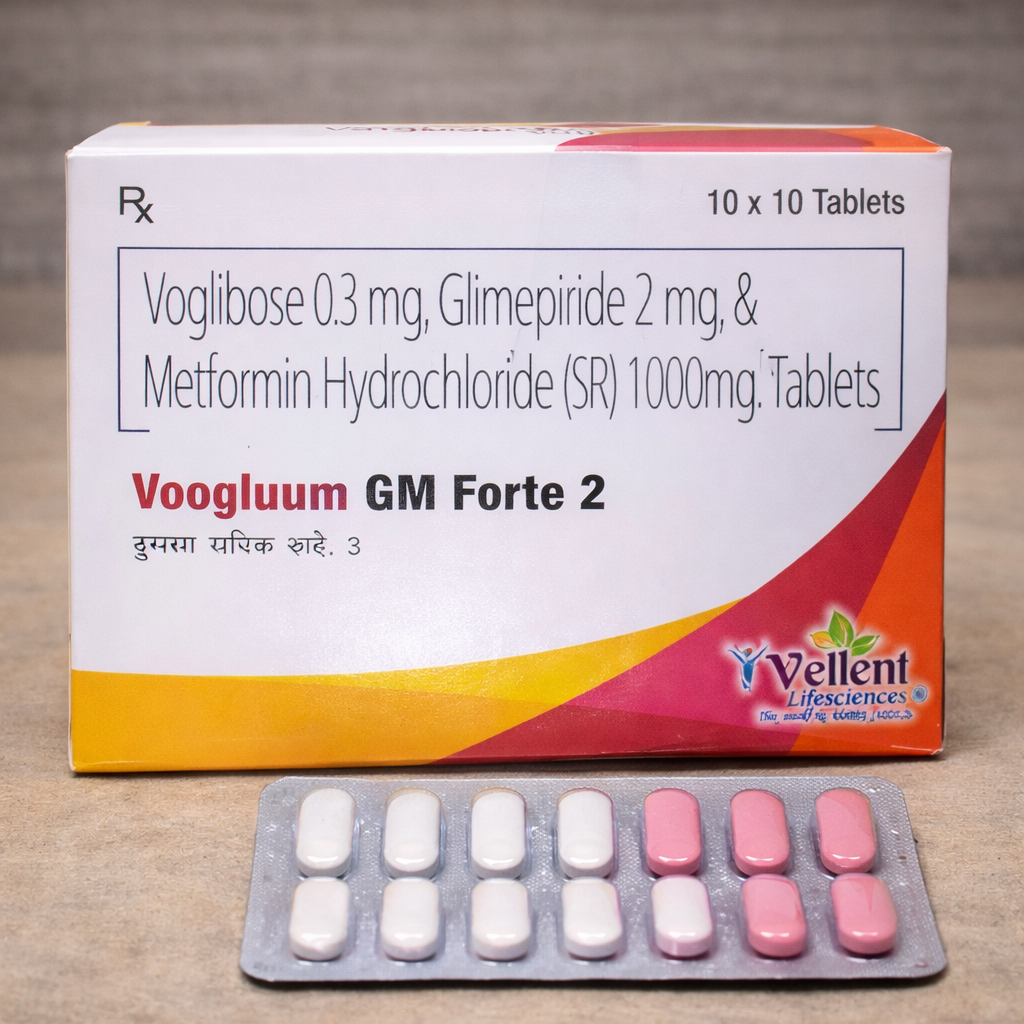 Voogluum GM Forte 2